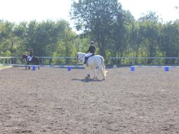 img_0277_web